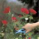 Ножницы для роз GARDENA 4-в-1