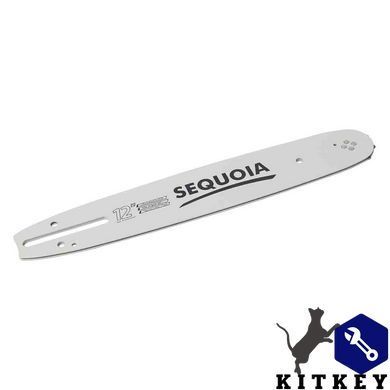Шина SEQUOIA B120SDEA041