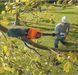 Высоторез аккумуляторный со штангой BLACK+DECKER GPC1820L20