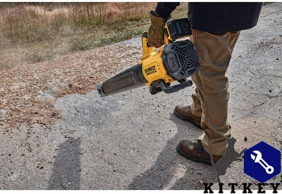 Повітродувка акумуляторна безщіткова DeWALT DCMBL562P1