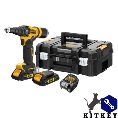 Заклёпочник аккумуляторный бесщёточный DeWALT DCF403D2GT