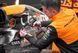 Дриль-шурупокрут ударний McLaren F1 TEAM LIMITED EDITION DeWALT DCD85MP2T