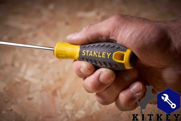 Викрутка ESSENTIAL довжиною 100 мм під шліц Ph2 STANLEY STHT0-60335