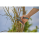 Секатор Gardena PremiumCut Pro dry wood із ковадлом 24 мм (12250-20.000.00)