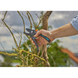Секатор Gardena PremiumCut Pro dry wood із ковадлом 24 мм (12250-20.000.00)