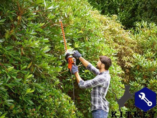 Кусторез электрический BLACK+DECKER BEHTS401