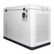 Генератор газовый EnerSol ENNG-17000TATS