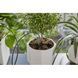 Набор Gardena Holiday Watering для полива в выходные дни