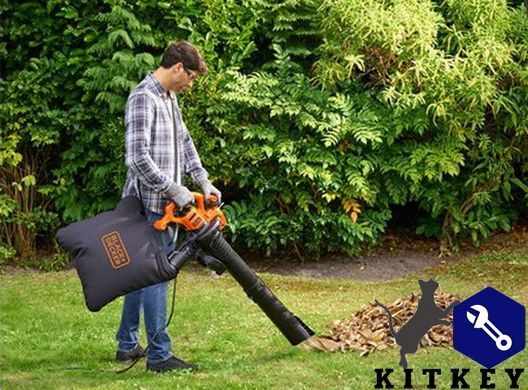 Пилосос садовий електричний BLACK+DECKER BEBLV260