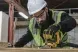 Шлифмашина вибрационная аккумуляторная DeWALT DCW200N