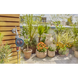 Таймер подачи воды Gardena Easy Plus